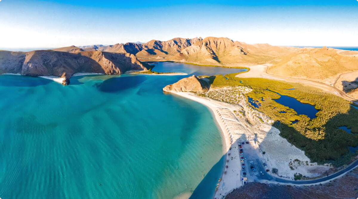 Nuestro inventario incluye una amplia variedad de vehículos.